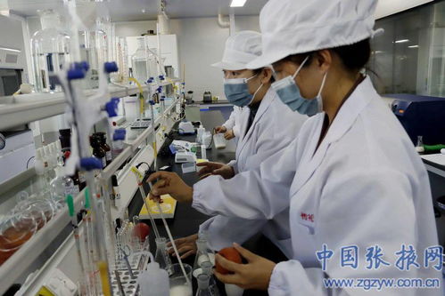 張掖 北緯39度祁連山下好牛奶 打造甘肅乳制品第一品牌