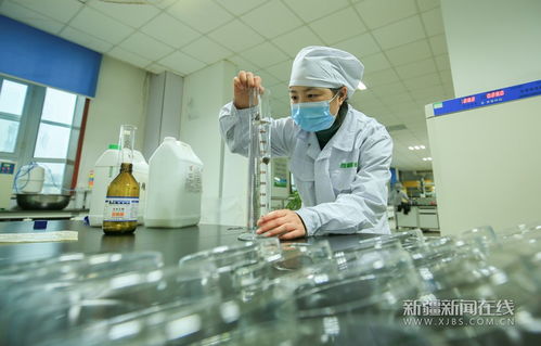 新疆呼圖壁 乳品企業忙生產保供應