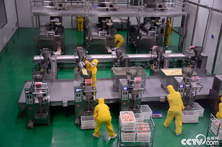 老工業基地 逆生長 看,我們正青春