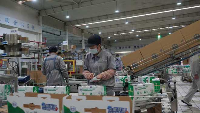 寧夏吳忠 一流奶源地何以持穩 奶瓶子