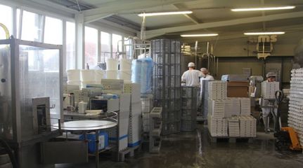 圖集|3個國家,4家不同味道的農場