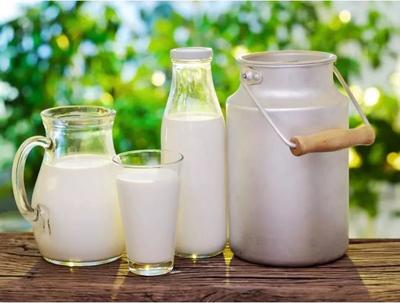 乳制品中的致病菌有哪些?如何解決致病菌超標?