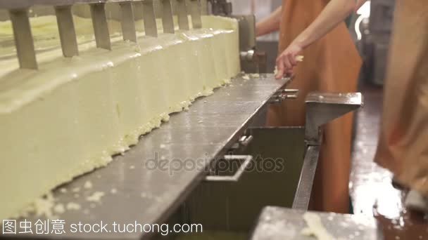 在現代化的生產線完成的牛奶產品