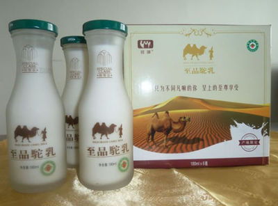 新疆福海專利技術(shù)生產(chǎn)新型駱駝奶 促牧民增收_新浪新聞