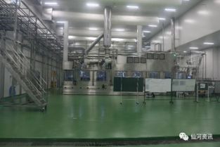 咱仙河家門口的乳制品加工廠正式投產啦