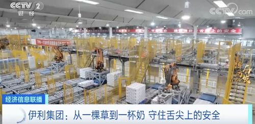 踔厲奮發看名企丨伊利每日下線1億多份產品 國產奶粉占據近七成線下市場