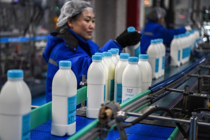 河北豐寧:發(fā)展乳制品產(chǎn)業(yè) 助力經(jīng)濟(jì)高質(zhì)量發(fā)展