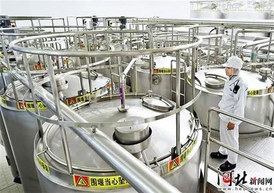 河北奶業振興進行時:向“四個世界一流”邁進