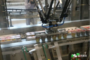 咱仙河家門口的乳制品加工廠正式投產啦