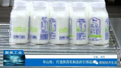 華山牧:打造陜西乳制品的引領品牌