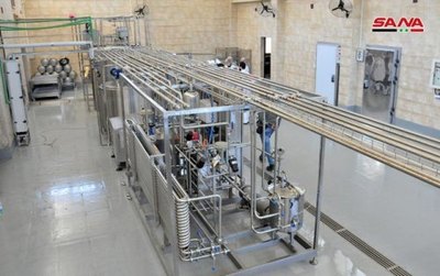 敘利亞消息:敘乳制品和乳酪實驗室努力研發生產高品質產品