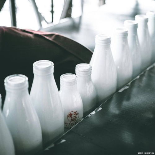 乳制品常見微生物指標介紹及乳制品在生產中的微生物控制