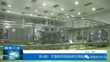 華山牧:打造陜西乳制品的引領品牌